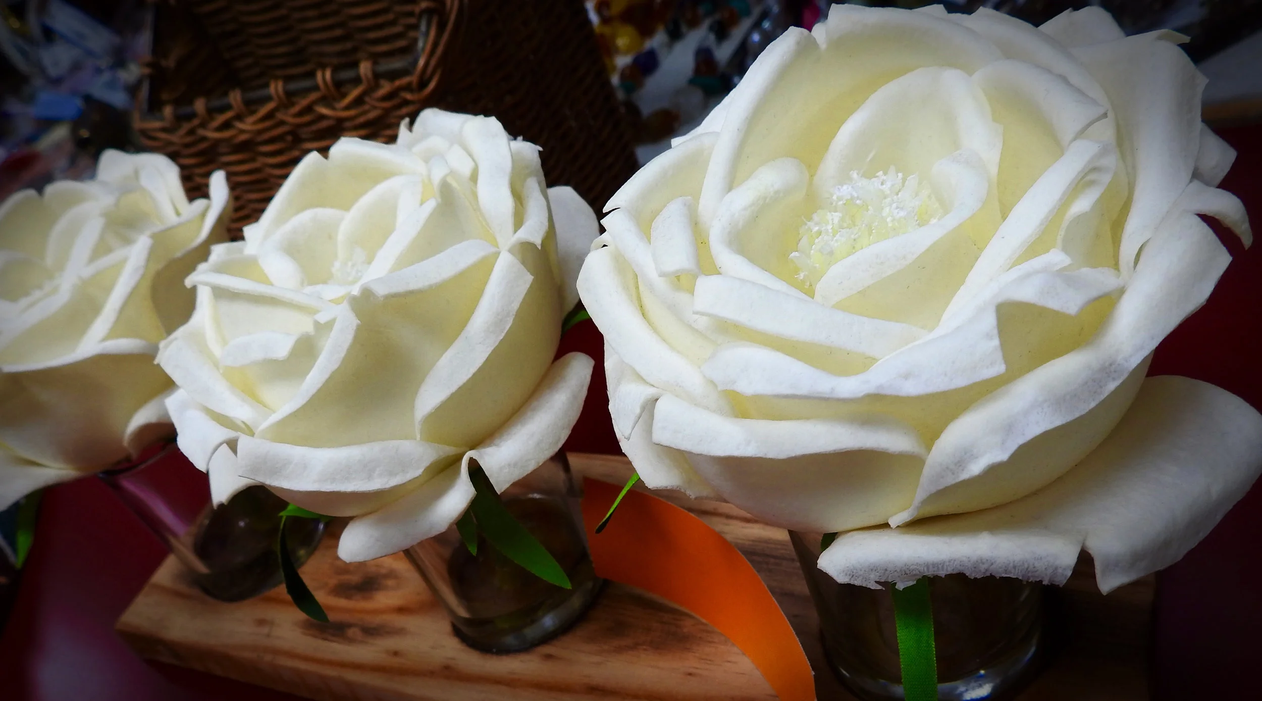 DSCN5476.jpg