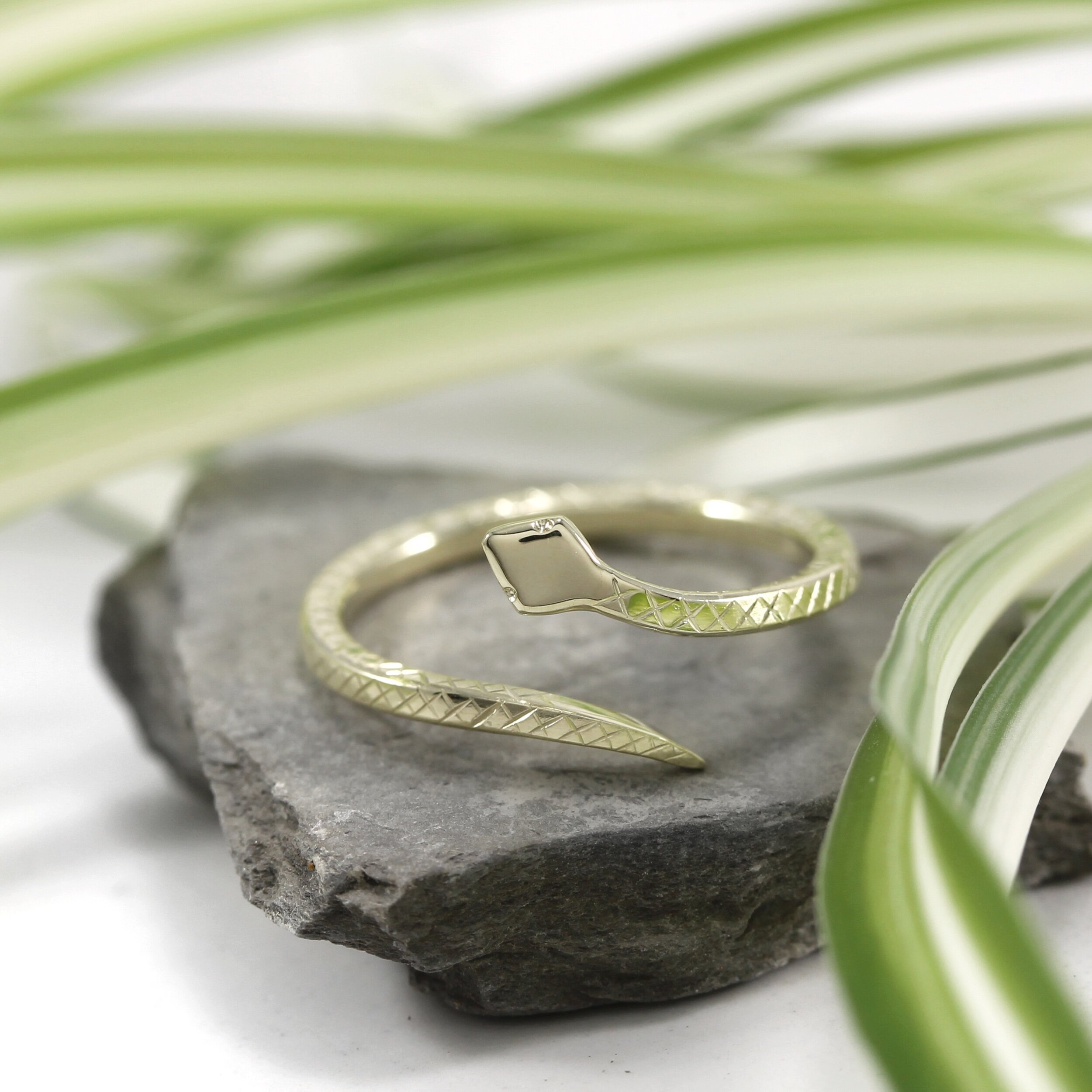 8FE4567E-1211-48CE-887C-EAB423A96DF6