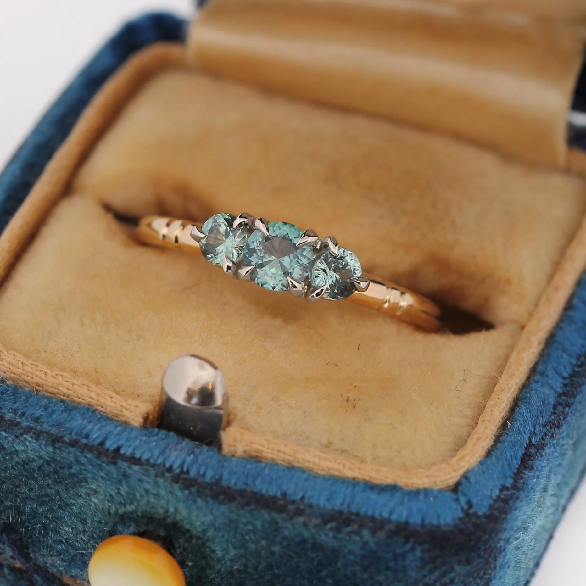 C50E7359-F3D7-4986-A76C-AAB58D2D466A