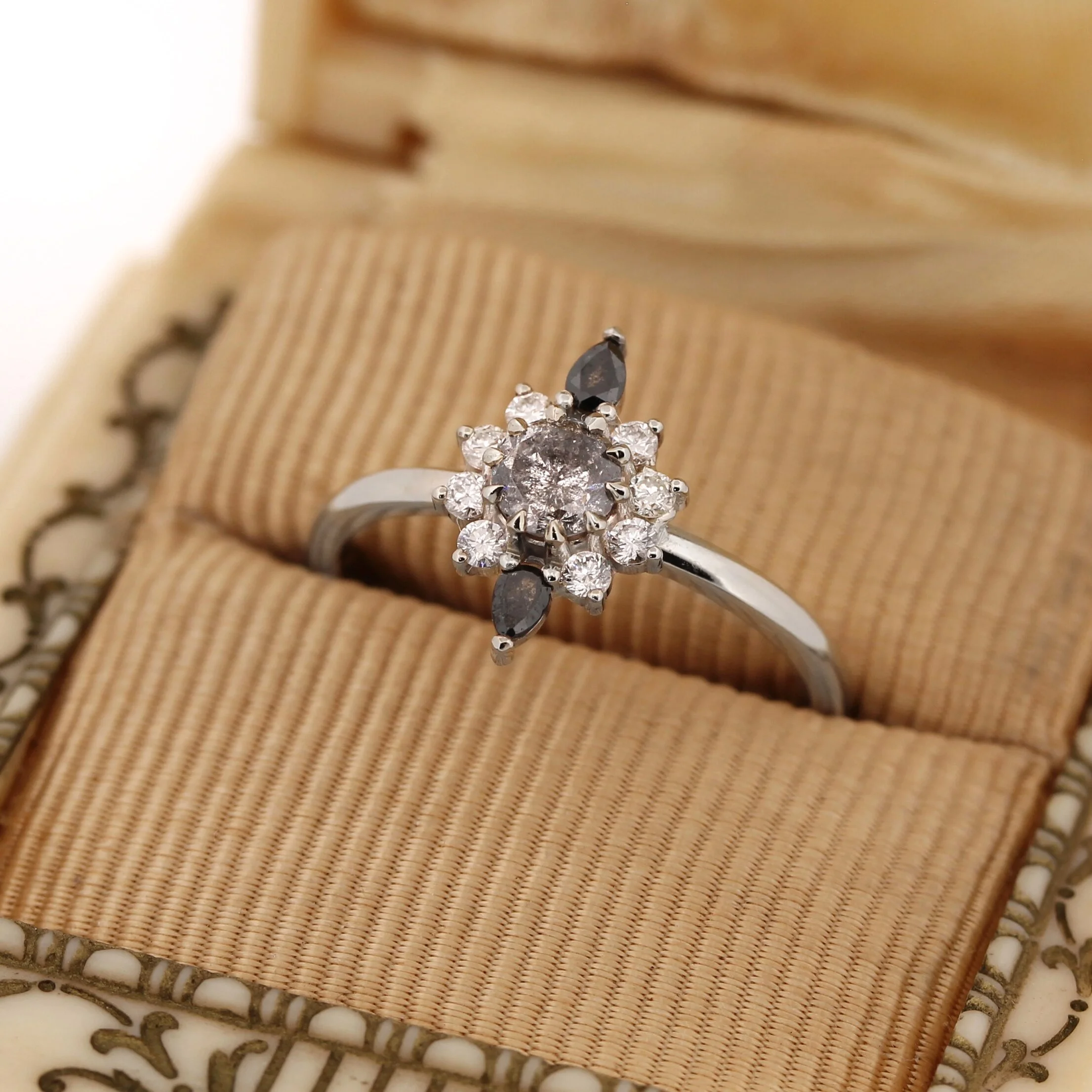 FD2BFE5E-B5E3-410F-8DFF-B81D12300CA0