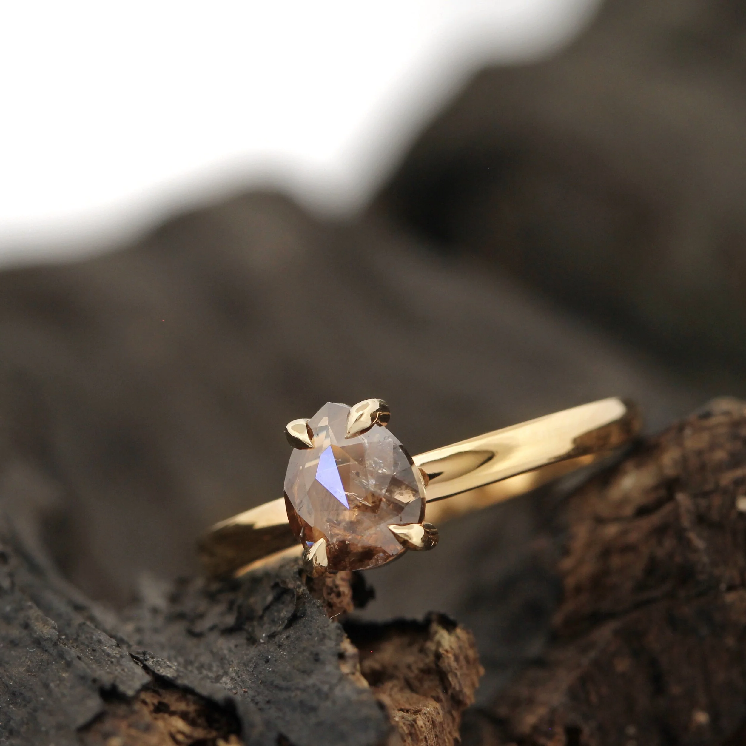 919A5D4B-DD59-4C31-BCB6-3E848AF57724