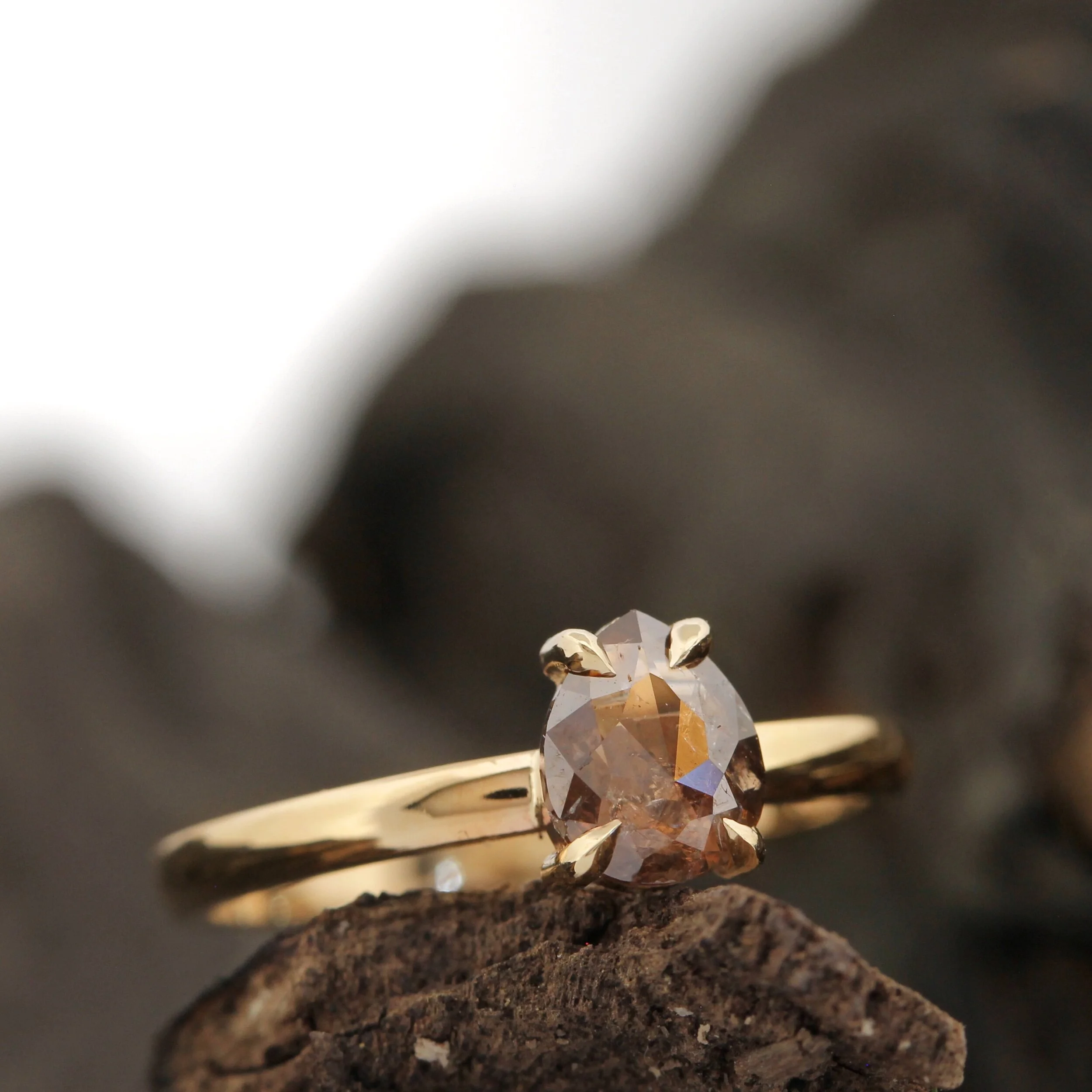 31673F96-5836-4E58-803E-1A73B458DA29