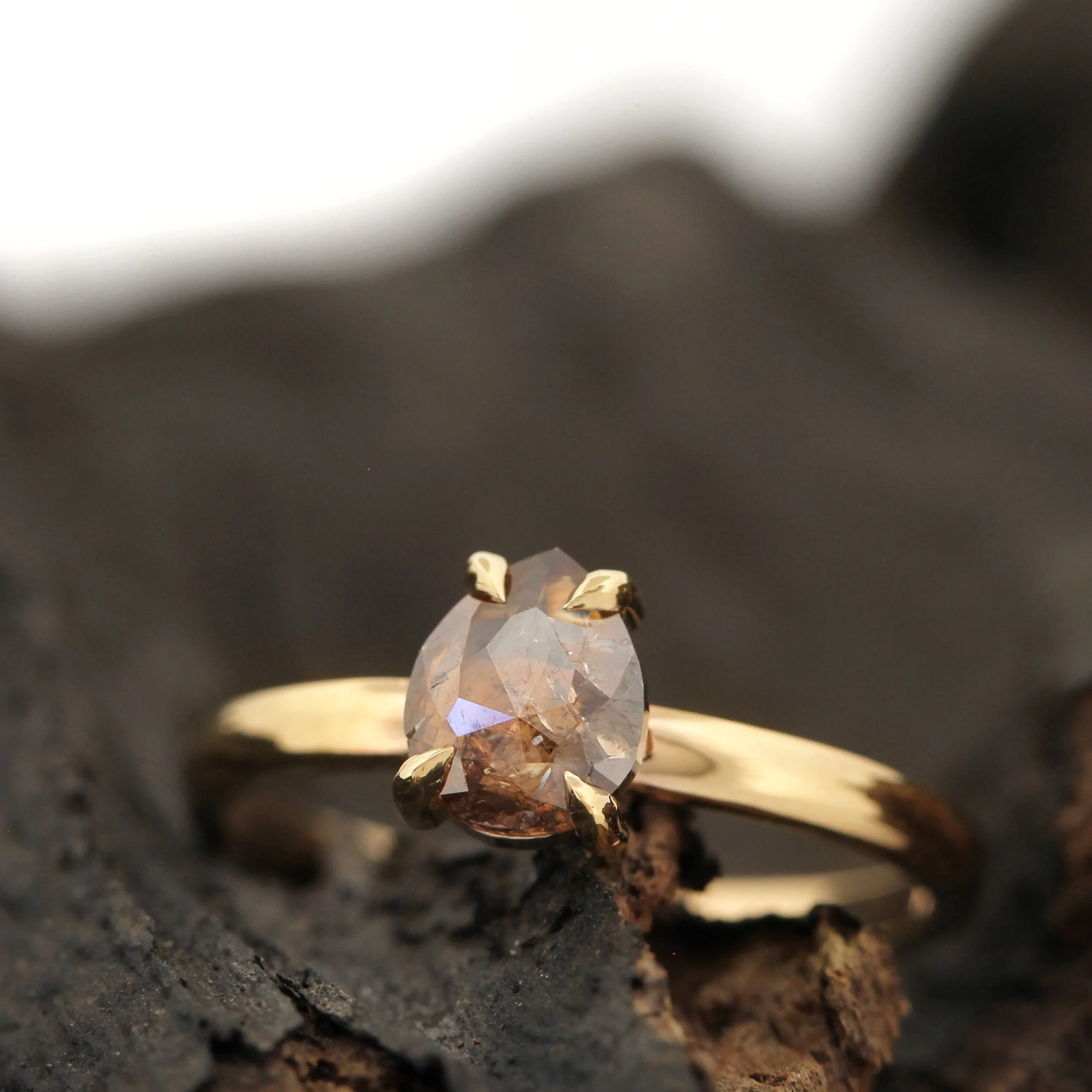 52127FD2-CFA5-438E-8044-FE60CB102FBE