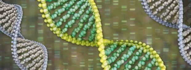 Going All The Way With Passion