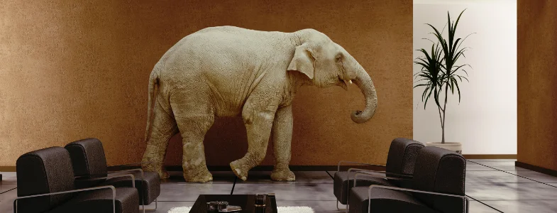 elephant-in-room.jpg