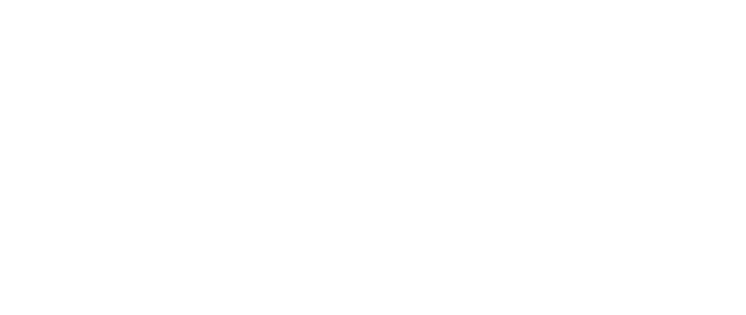 The Entrepreneurs Network