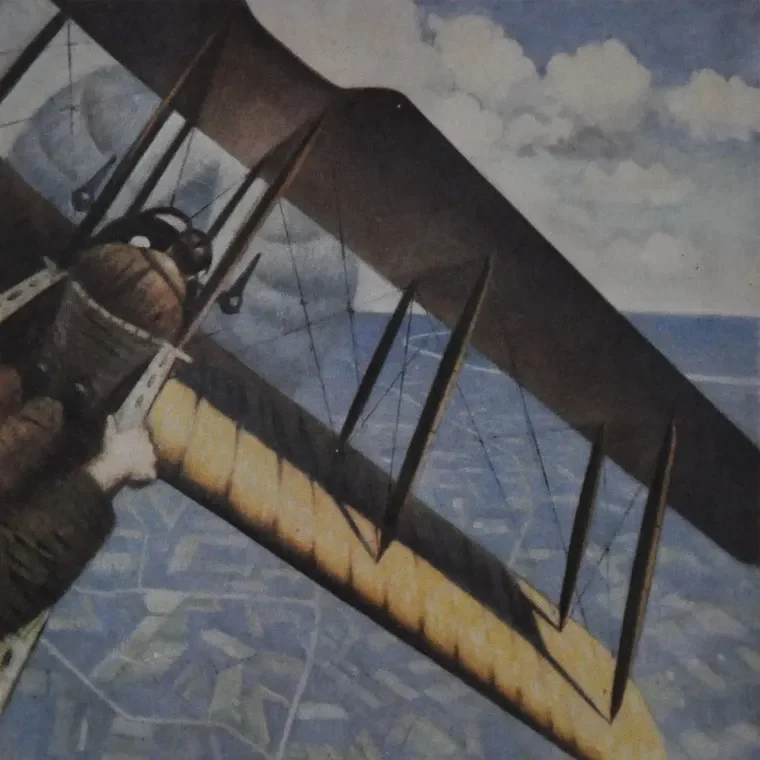 Flight Risk