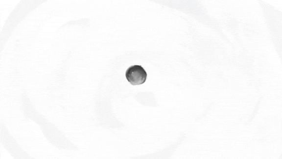 ANI06_optimized.gif