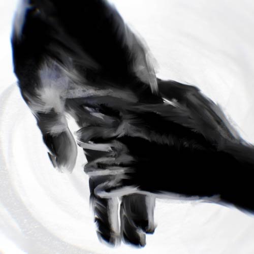 pro_hold04.jpg