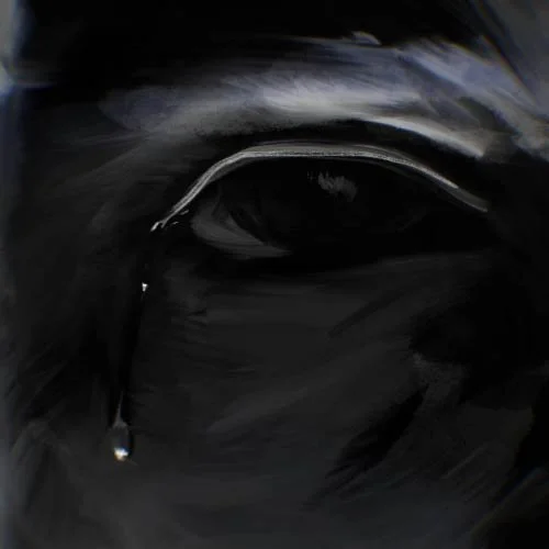 pro_tear04.jpg