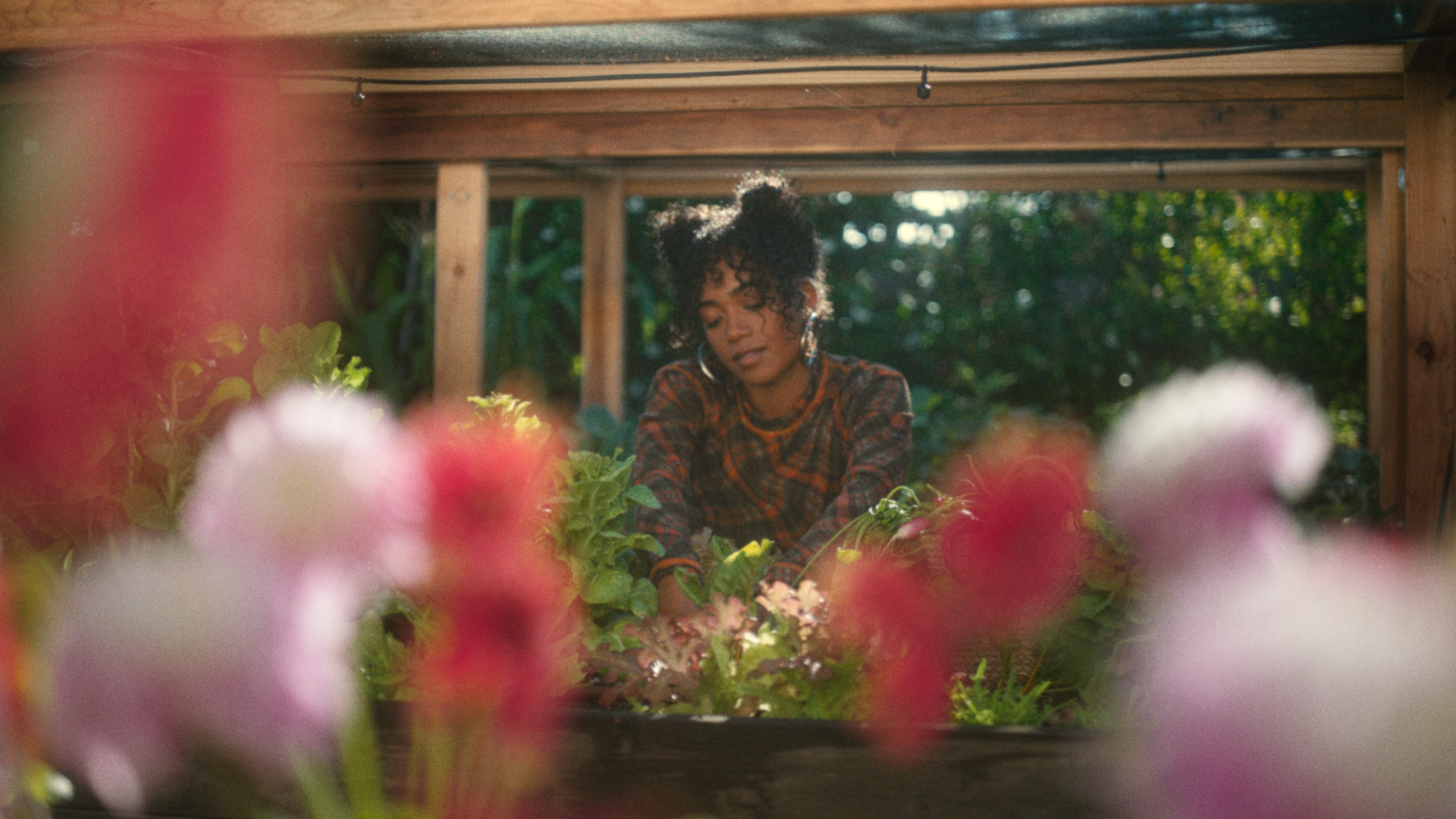  Umi - Allbirds  Dir. Jazmin Garcia 