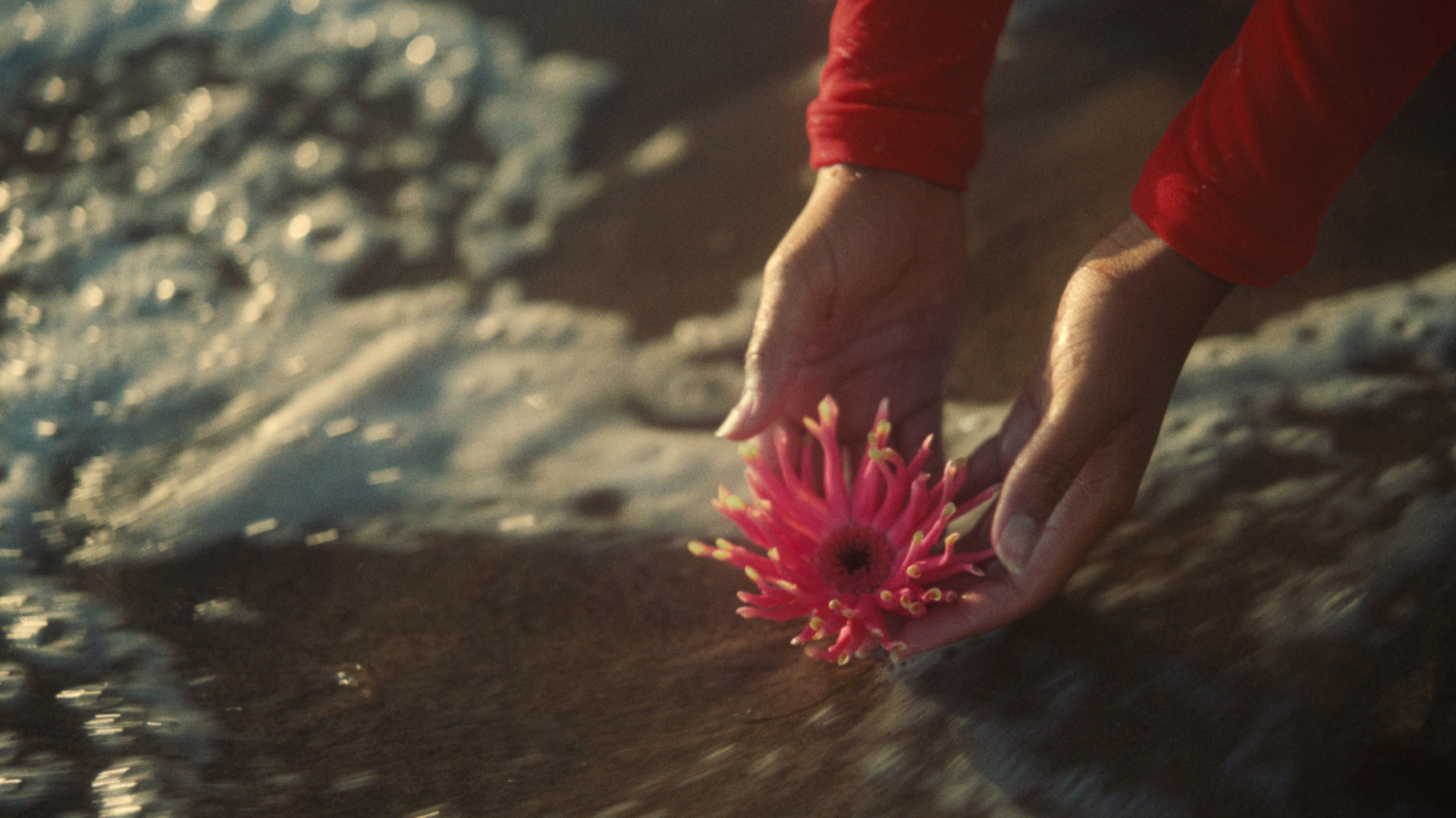  Umi - Allbirds  Dir. Jazmin Garcia 