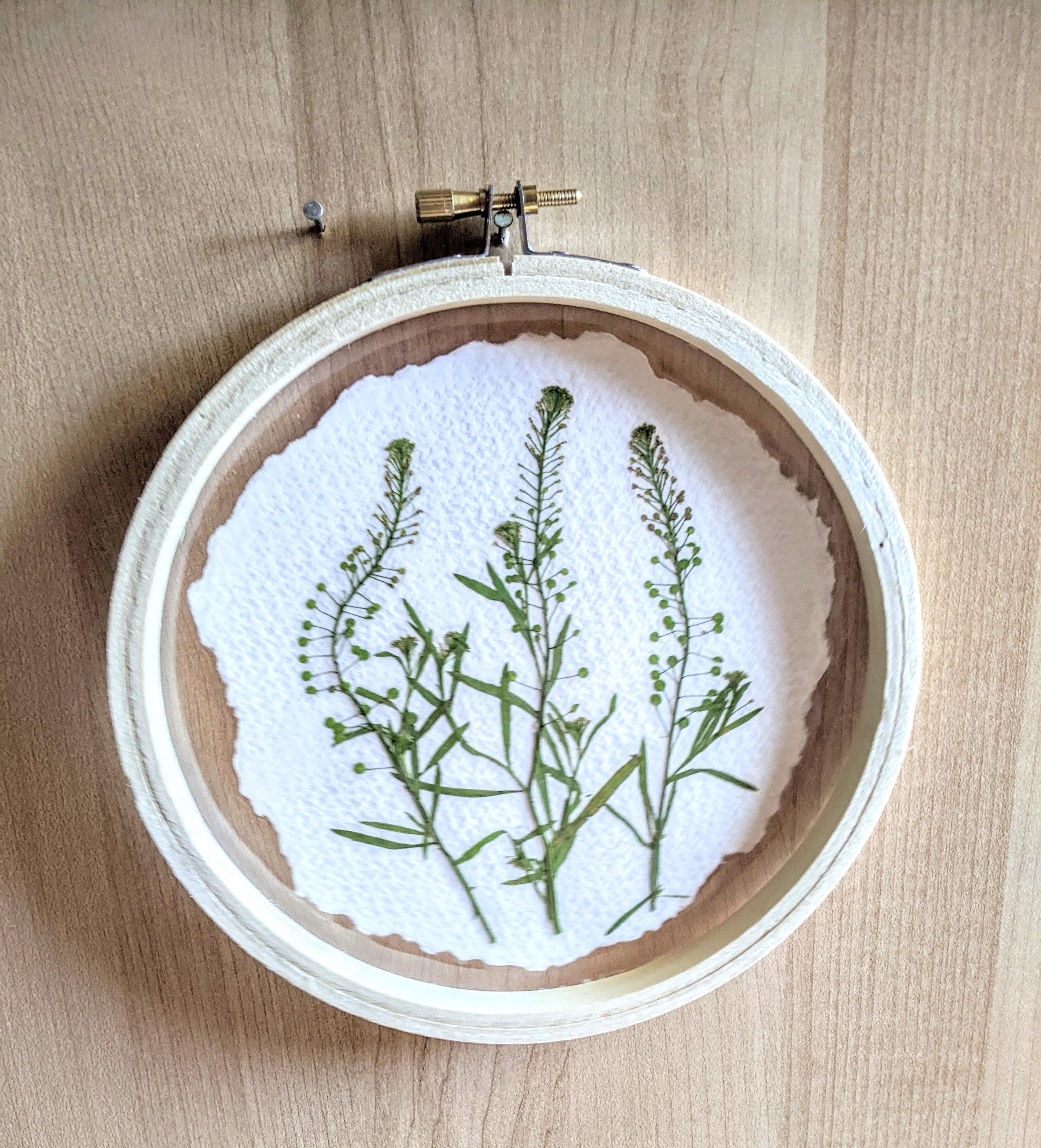 Framed Wall Flower Art, Green Flowers Art