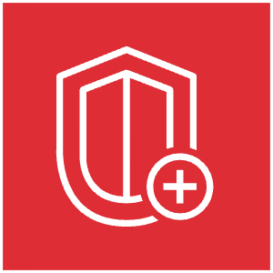 aws-shield-zvecdvtitg4rrblkrqik.webp