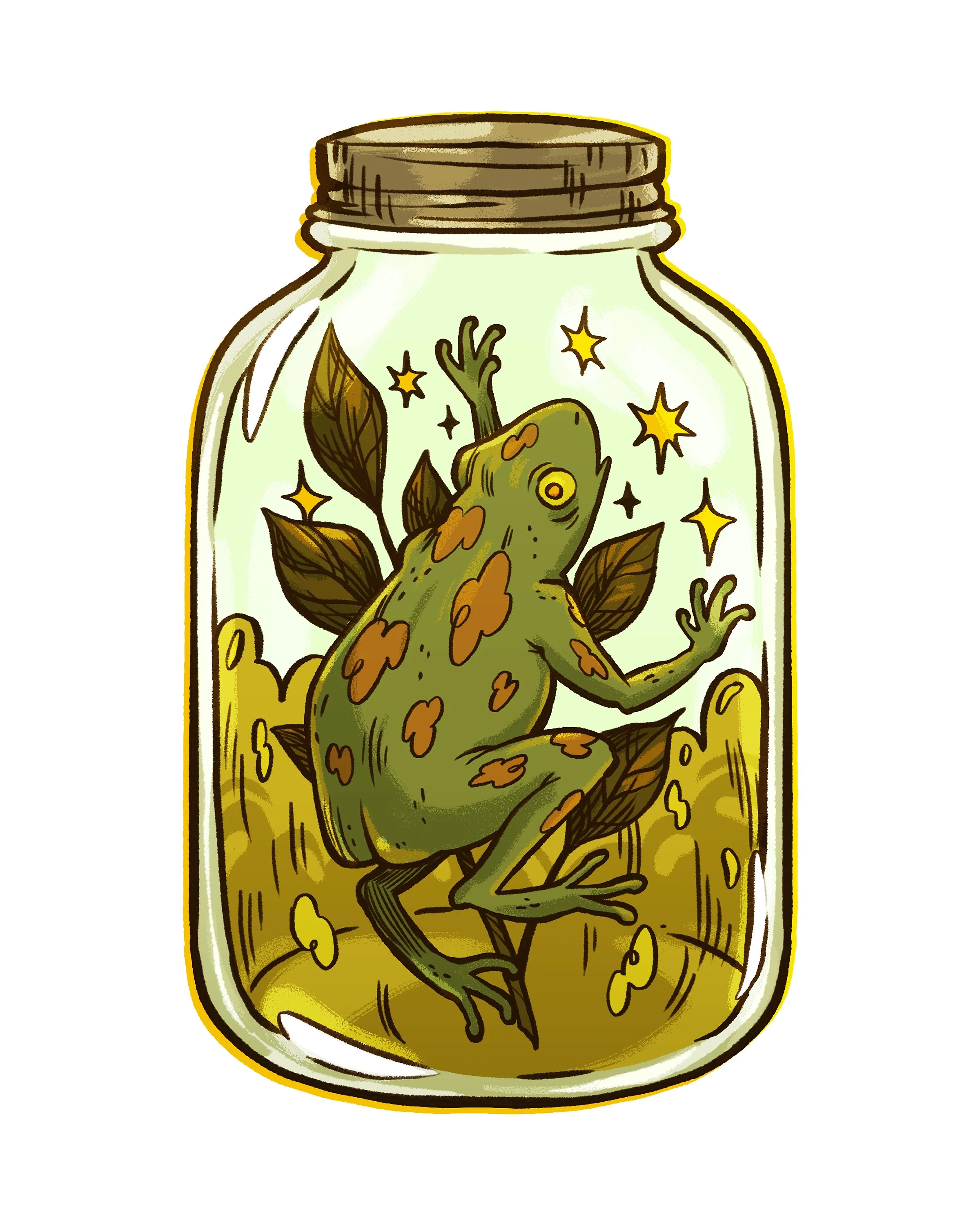 frog_8x10 copy.jpg