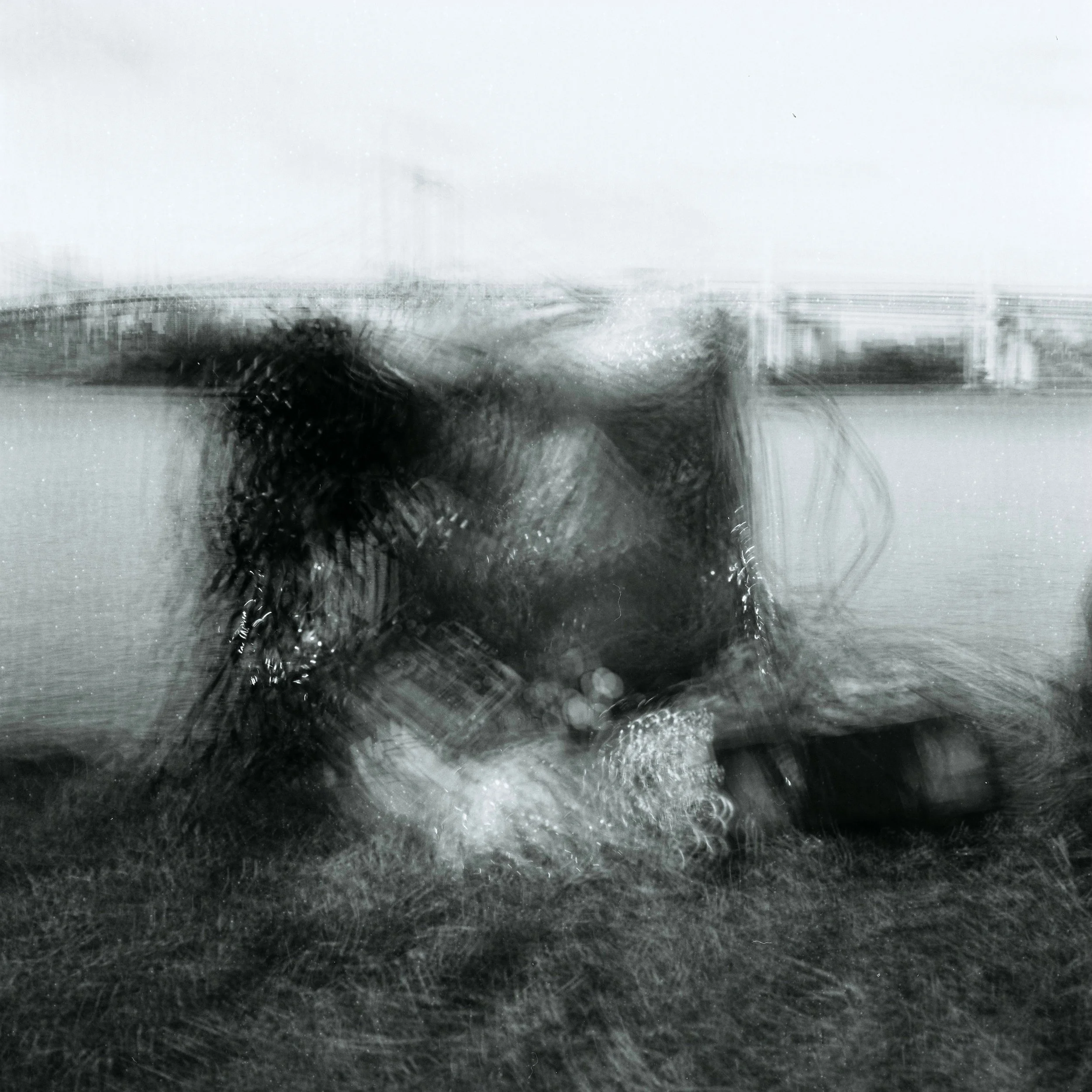 Among the Shadows and the Mist, 2025