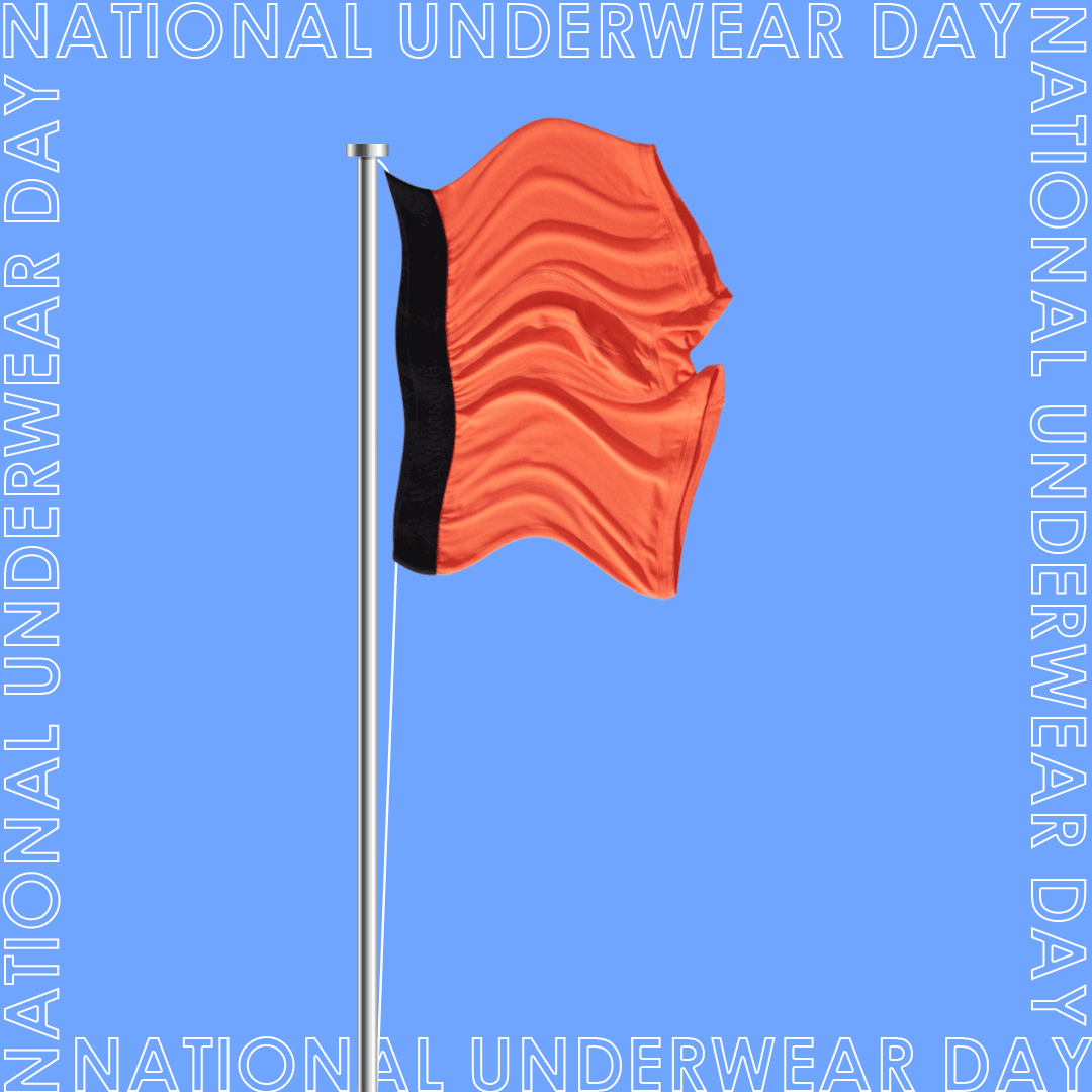 NATIONAL_UNDERWEAR_DAY.gif