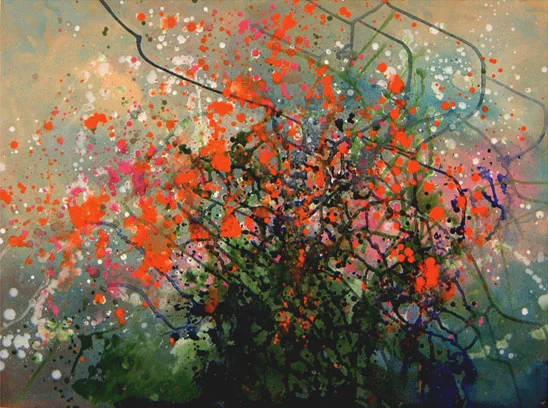 Tangled Beauty