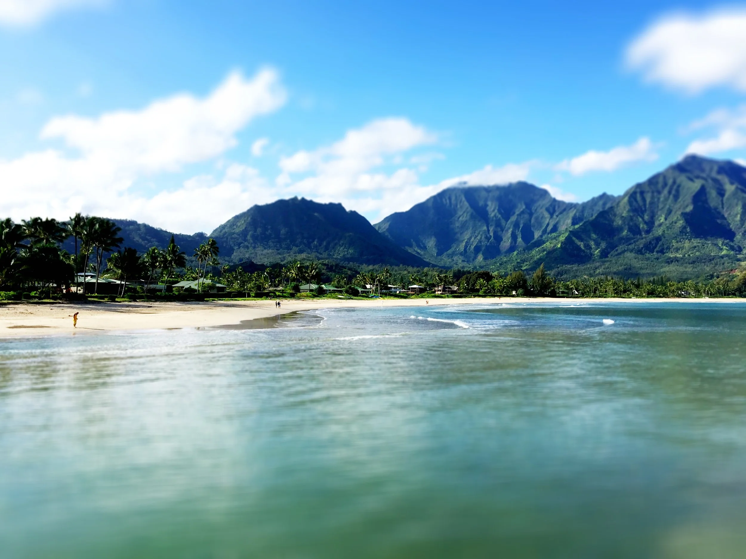 Hanalei Bay Beach.jpg