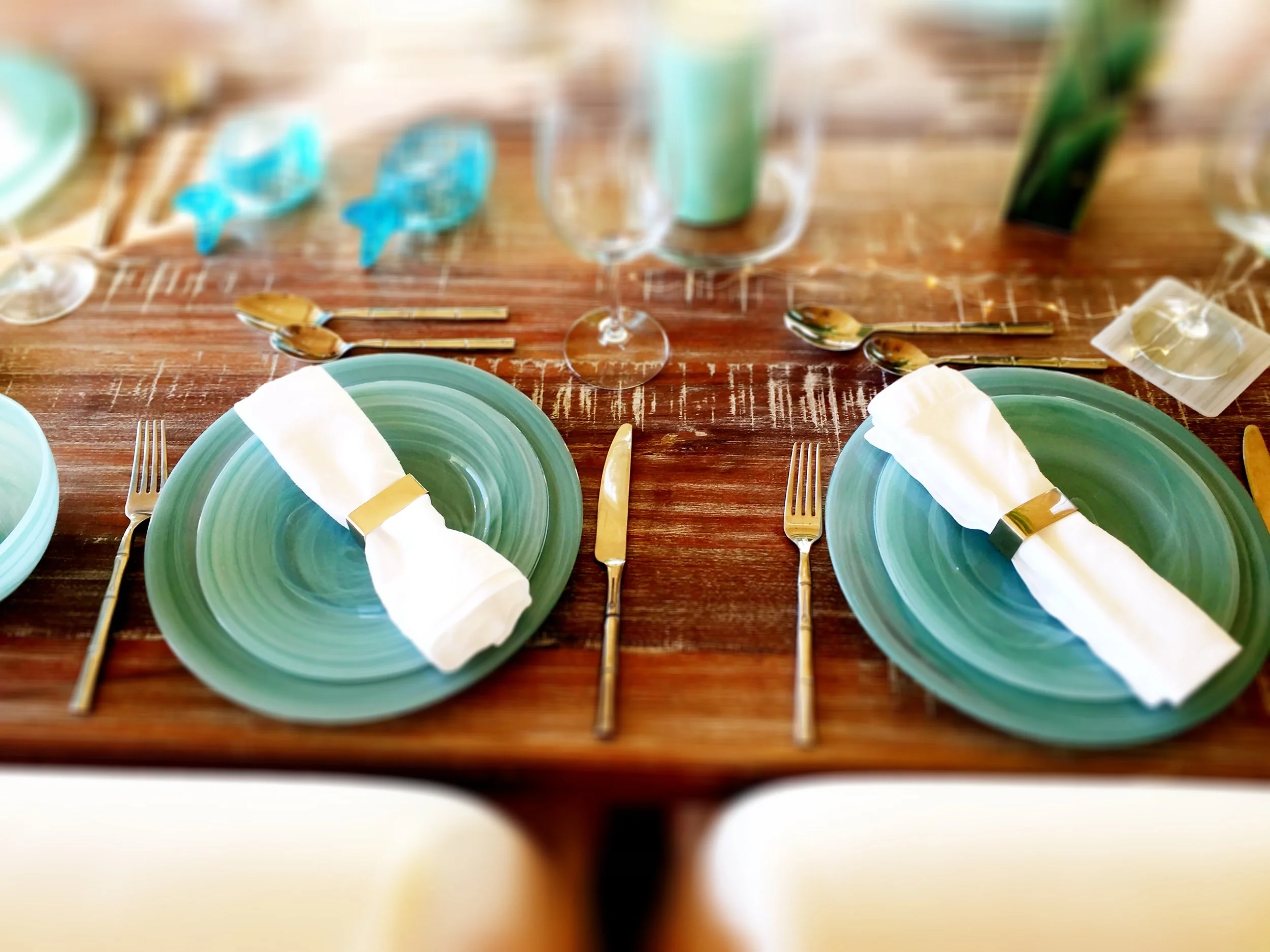 Aqua Dishes close up.jpg