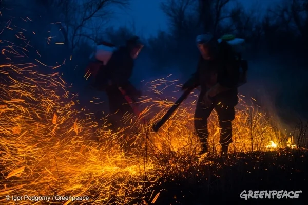 Grass Fire in the Astrakhan Nature Reserve, Russia - 13 Mar, 2015