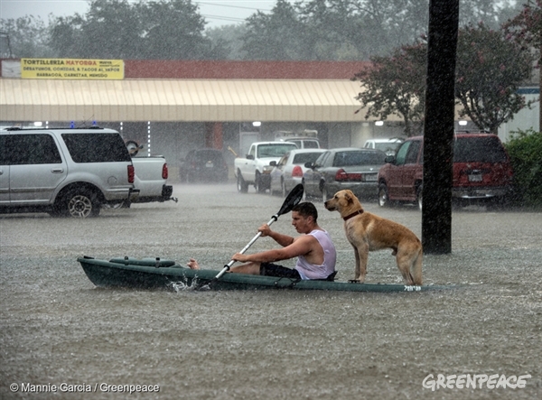 Hurricane Harvey Flooding Rescue in Texas - 27 Aug, 2017