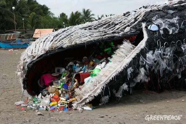 Whale Art Installation in the Philippines, May 2017. © Greenpeace