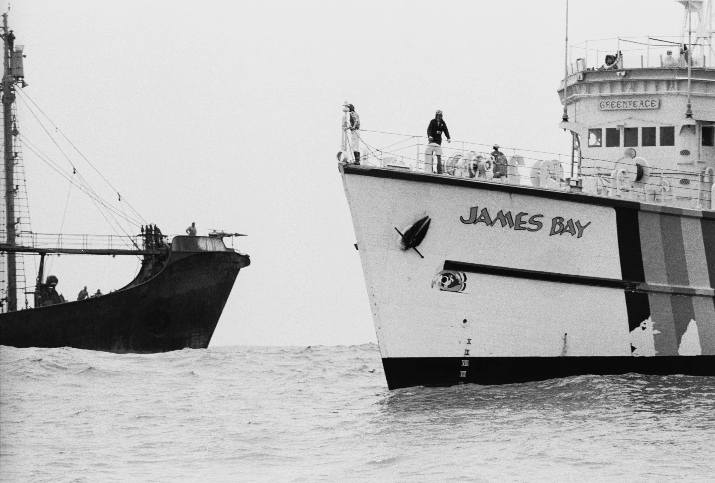 Soviet Whaling Action in North Pacific