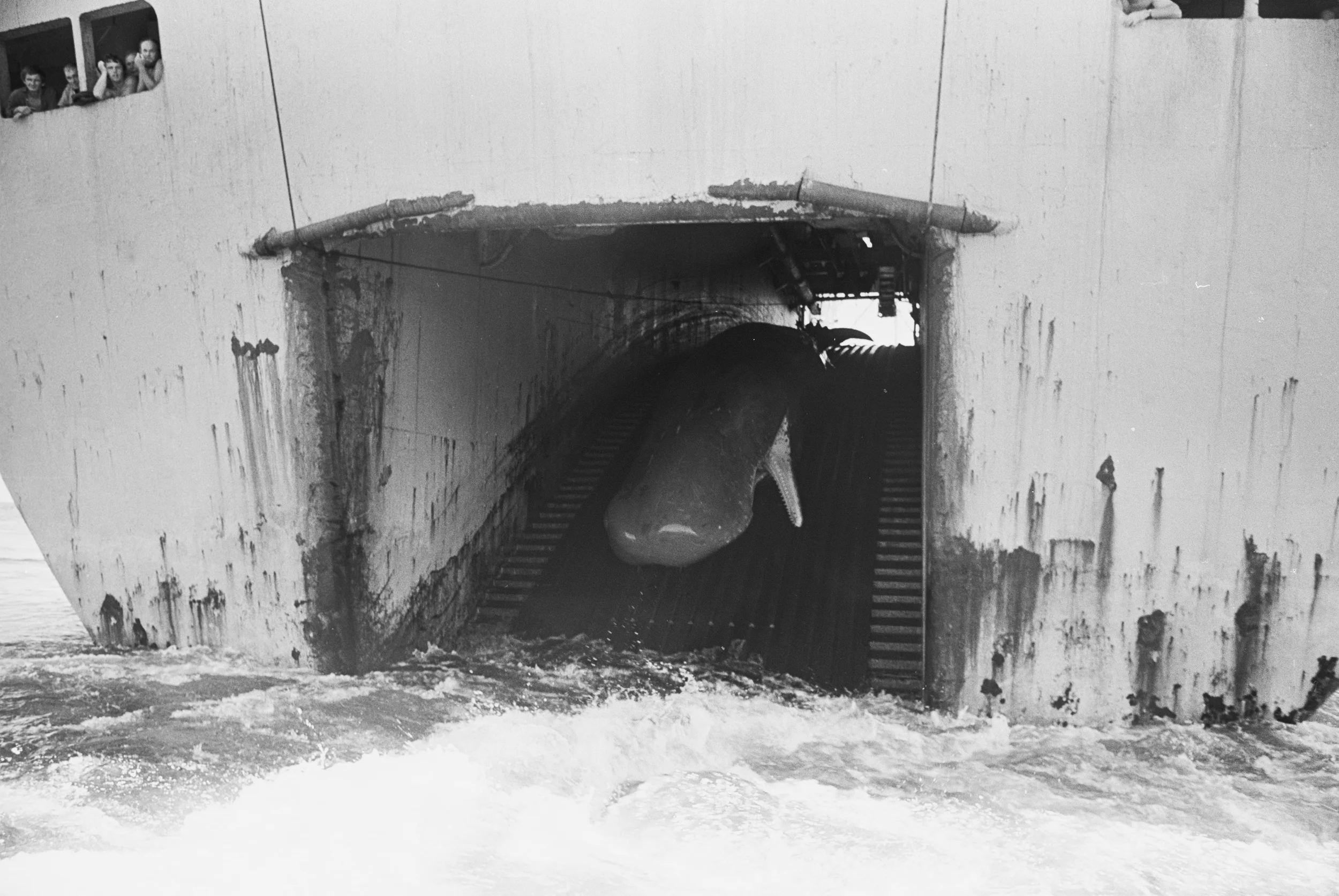 Soviet Whaling Tour in North Pacific