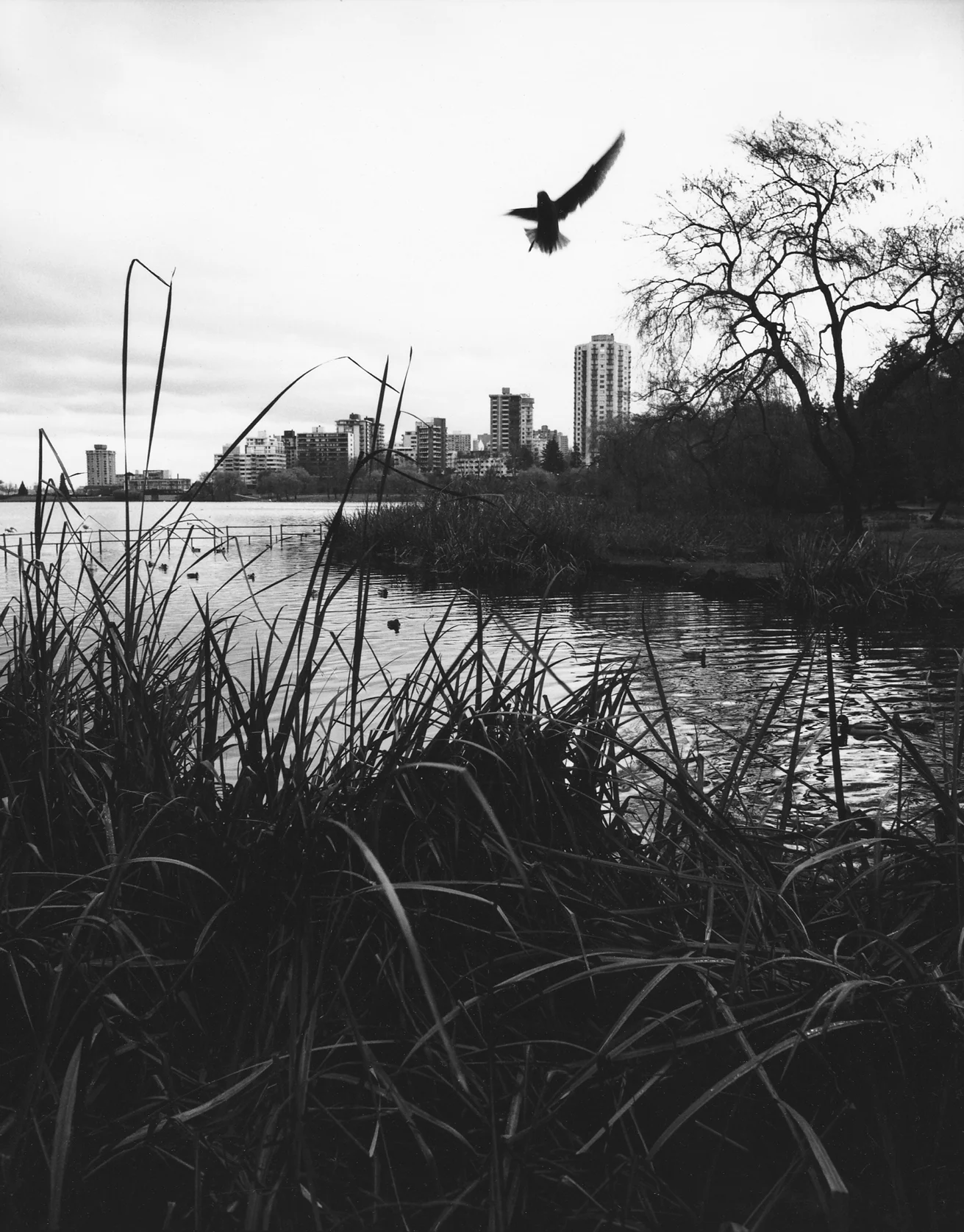 RexWeyler-Vancouver-1970s-09.jpg