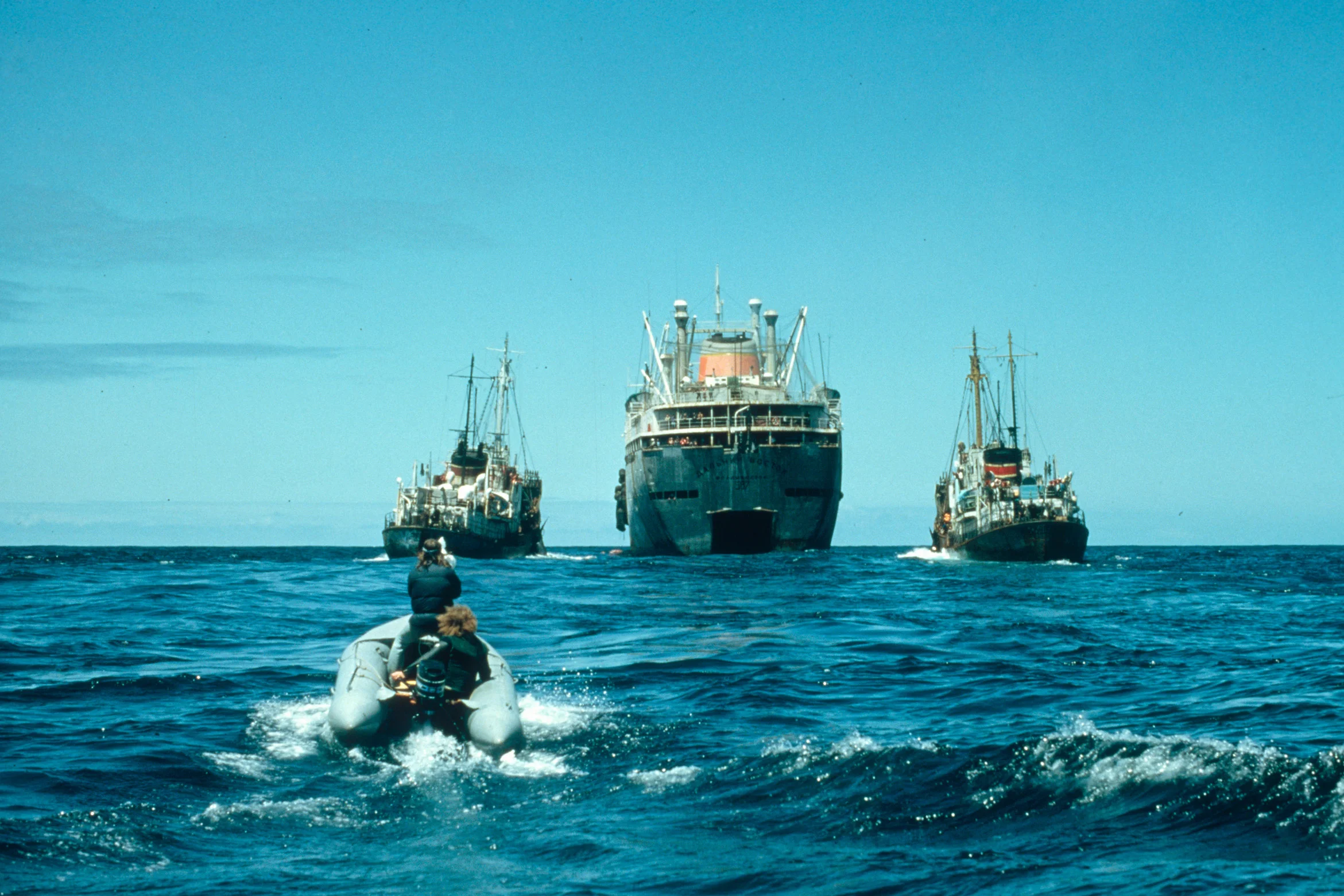 Russian Whaling Fleet in North Pacific