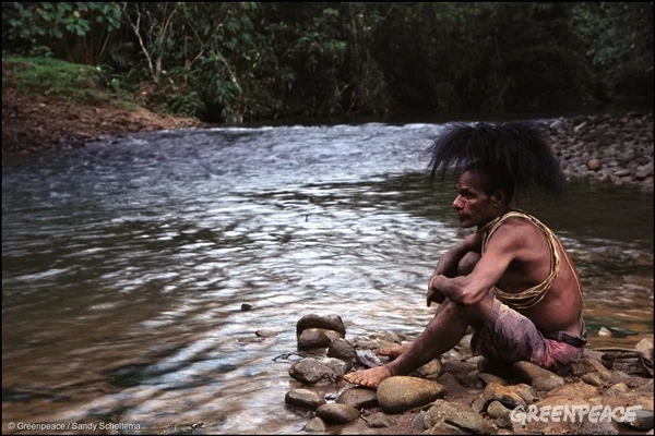 Customary landowner, Auwagi Sekapiya, of the Ubei Clan; Kosuo tribe in Papua New Guinea, 2003.