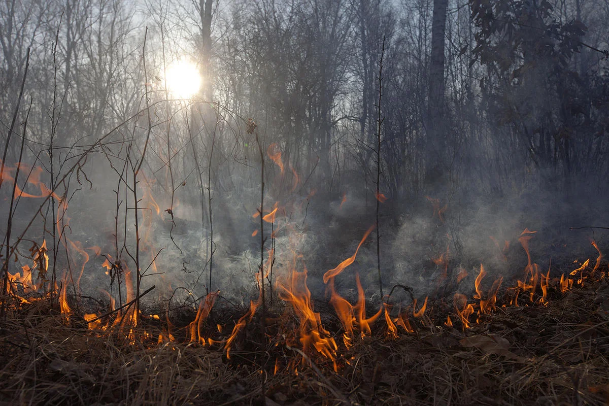 Wild fires in Amur region, Russia. This year the area affected by fire, including all categories of land in the region, is 1.69 million hectares. © Maria Vasilieva / Greenpeace
