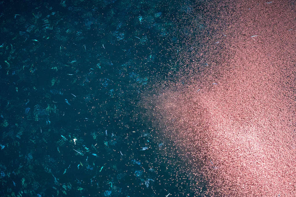 Certain Antarctic krill contribute as much biomass as humans © Andrea Izzotti / Thinkstock