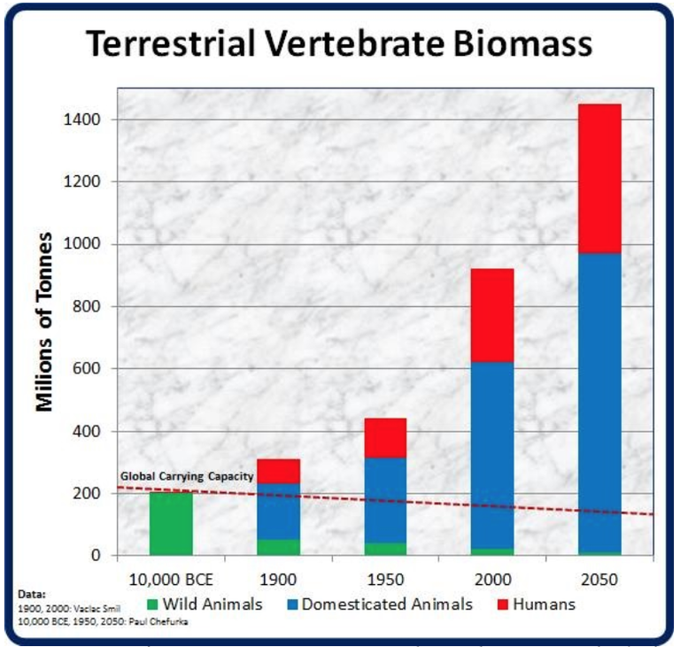 The dominance of humans among terrestrial vertebrates. Paul Chefurka and Vaclav Smil