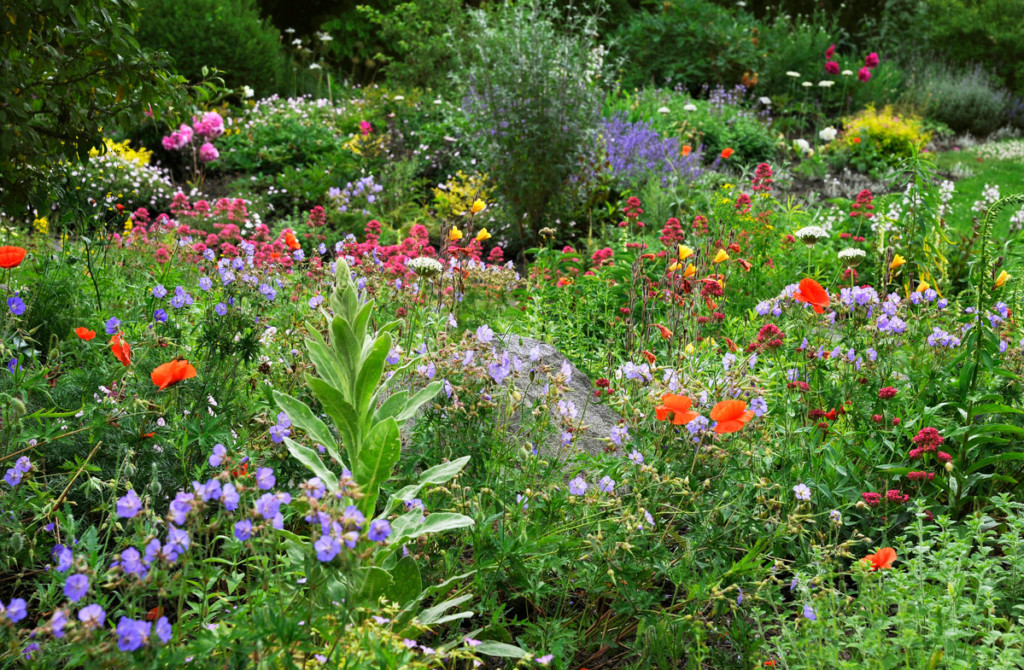 Bee friendly garden in Germany © Ute Klaphake / Greenpeace