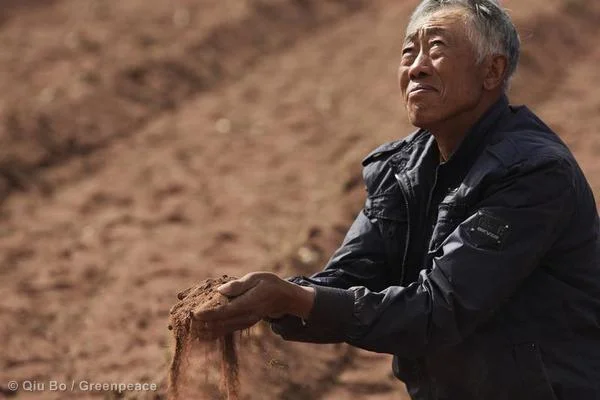 drought, Mongolia, farmer Zhang Dadi, gpweb.jpg