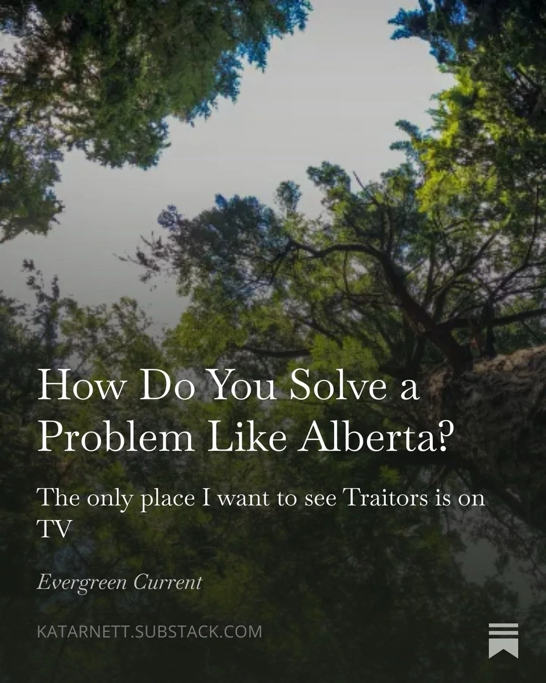 I took a little break from my weekly roundups but they are back! #writersofinstagram #substack