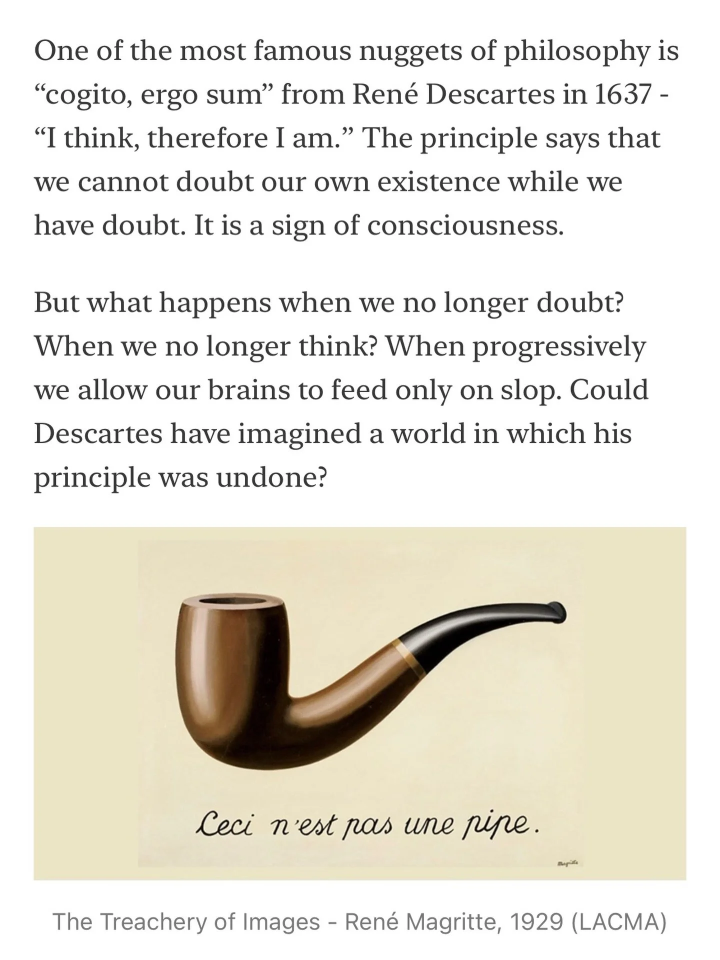 An excerpt from my end of 2025 edition of Evergreen Current. Link in bio for the full thing. 

#substack #writersofinstagram #ai