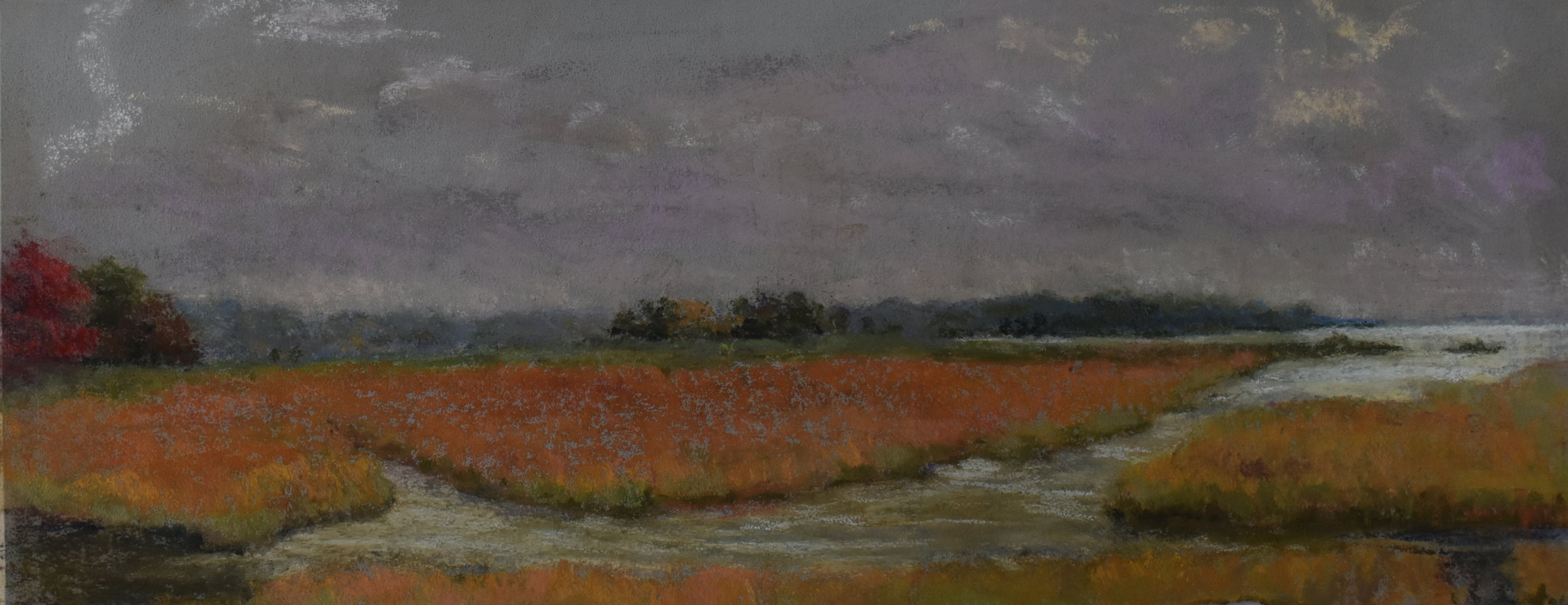 Rain drenched Marsh,Scarborough -6" x 14"