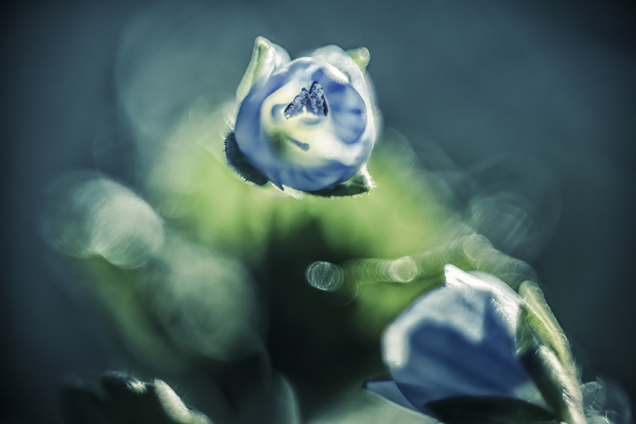 24559500574_795a943d8d_k.jpg