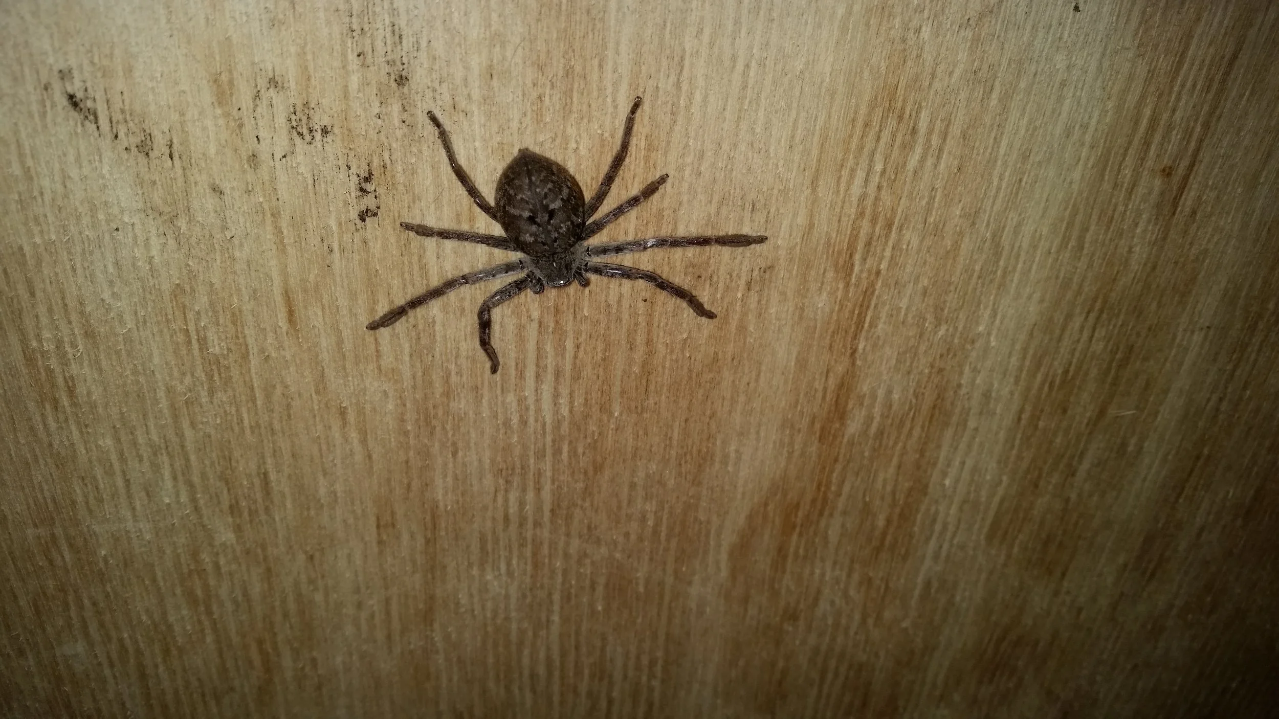 20160908_181501.jpg