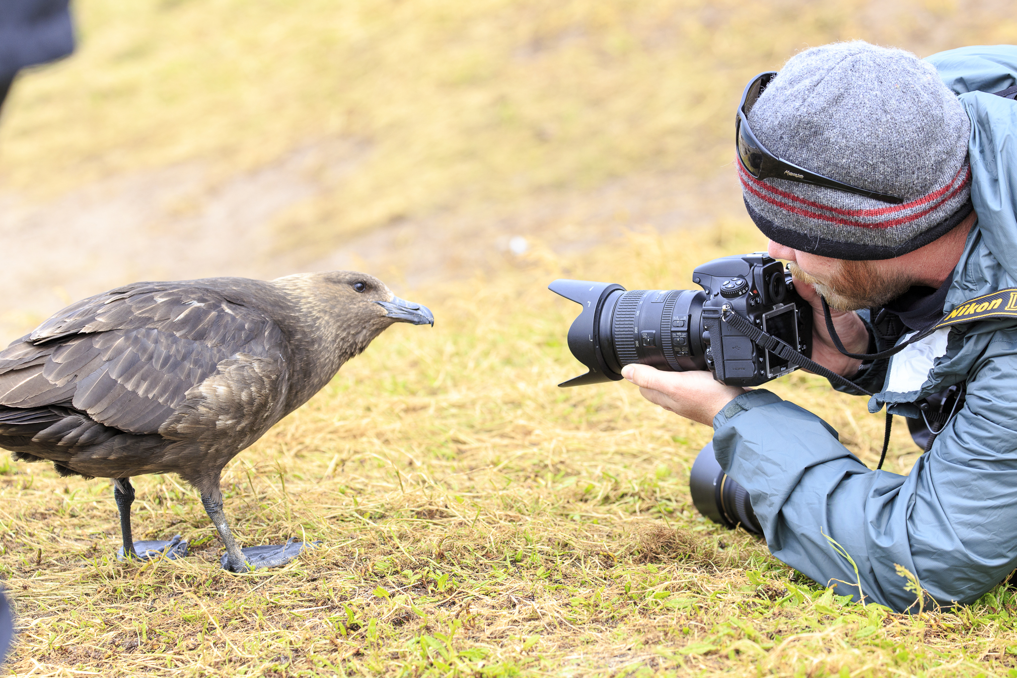 Matthew McIntosh and a Skua