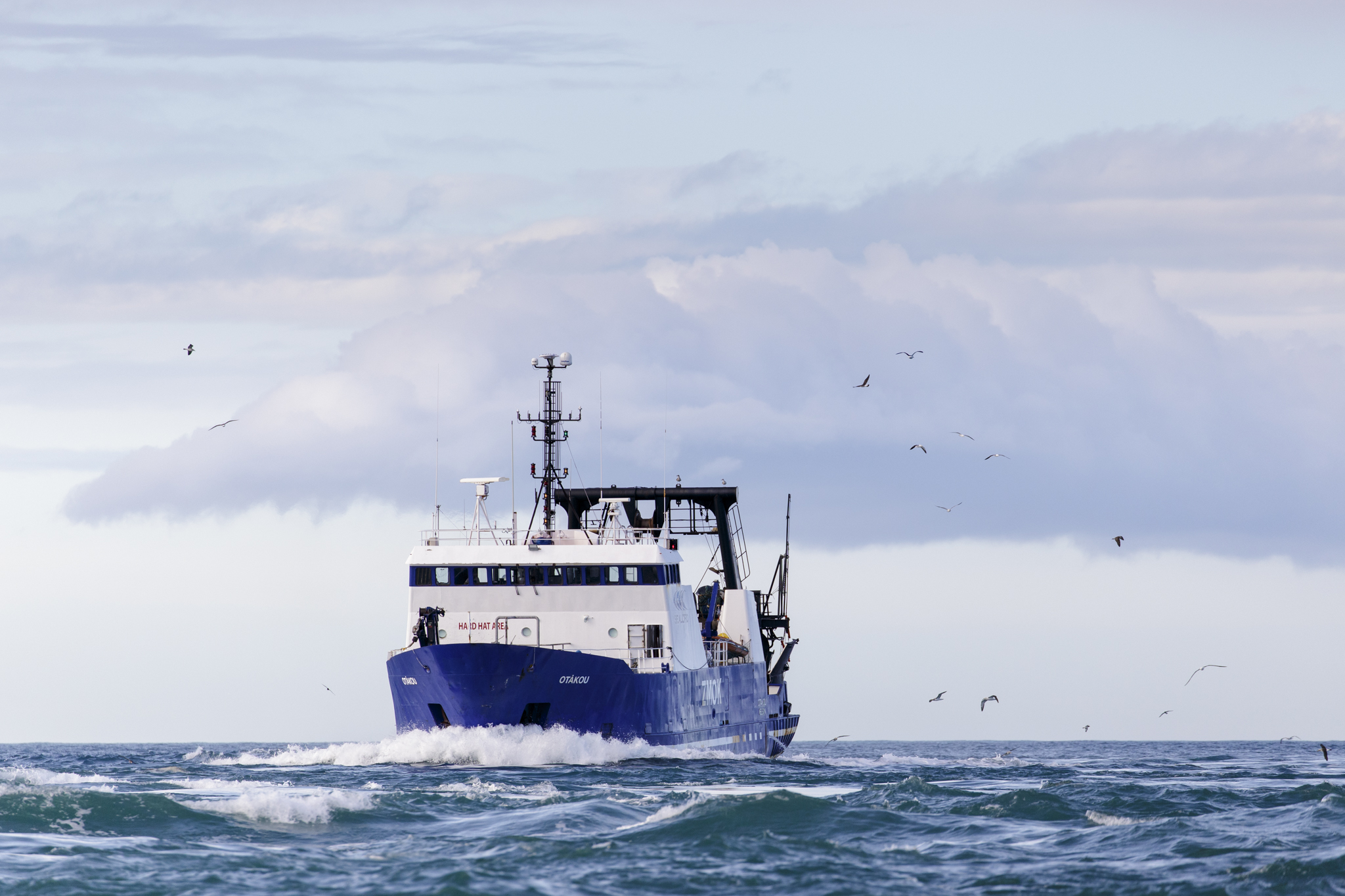 FV Otakou in the Tory Channel entrance