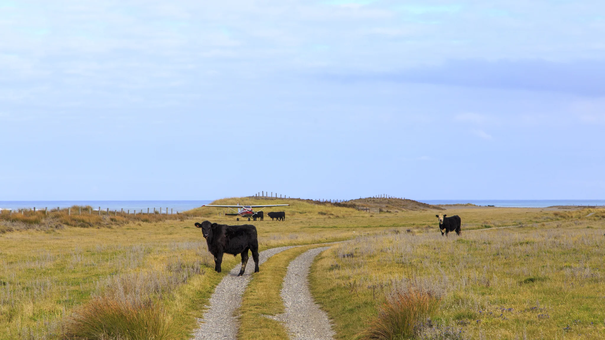 Rural road block.