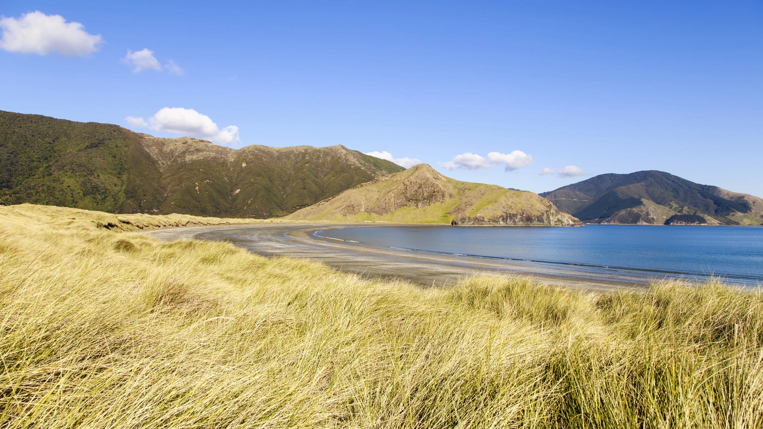 Moawhitu Bay 