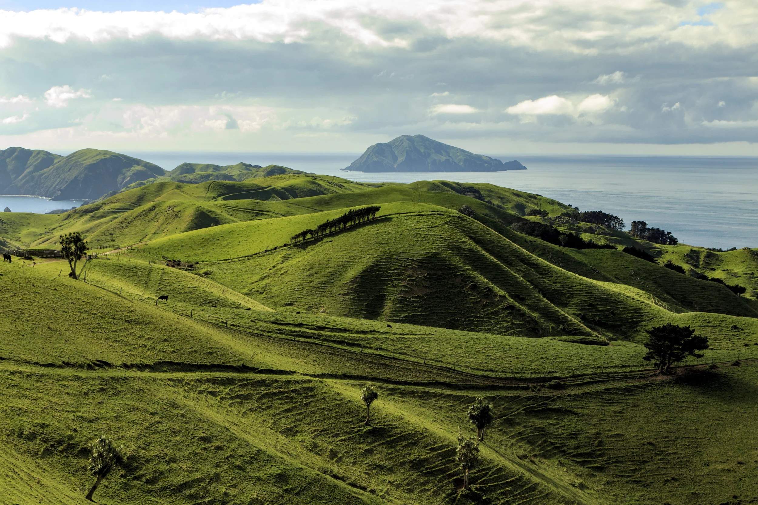 Lush hills and sweeping landscapes 
