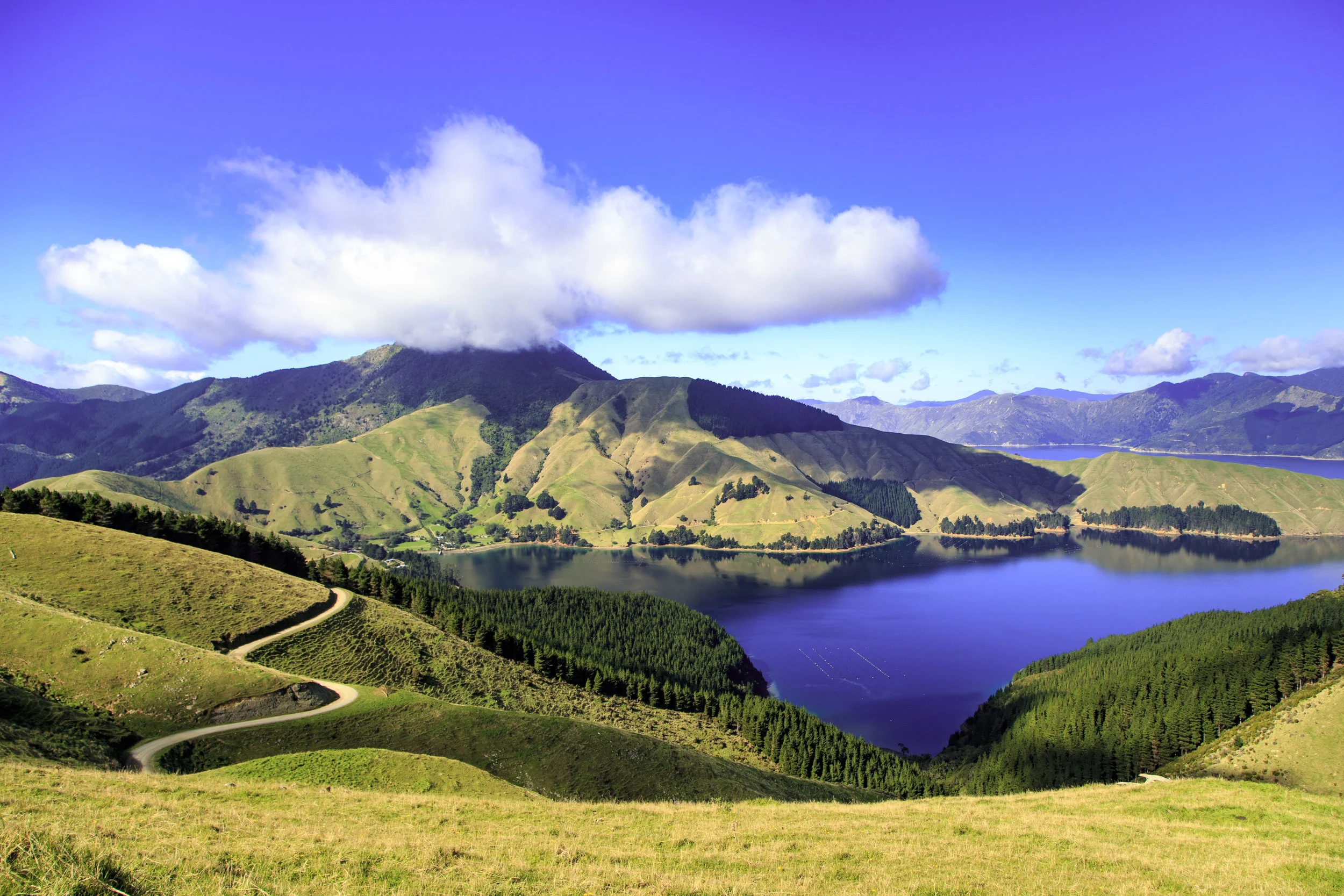 The windy road looking out to Te Towaka