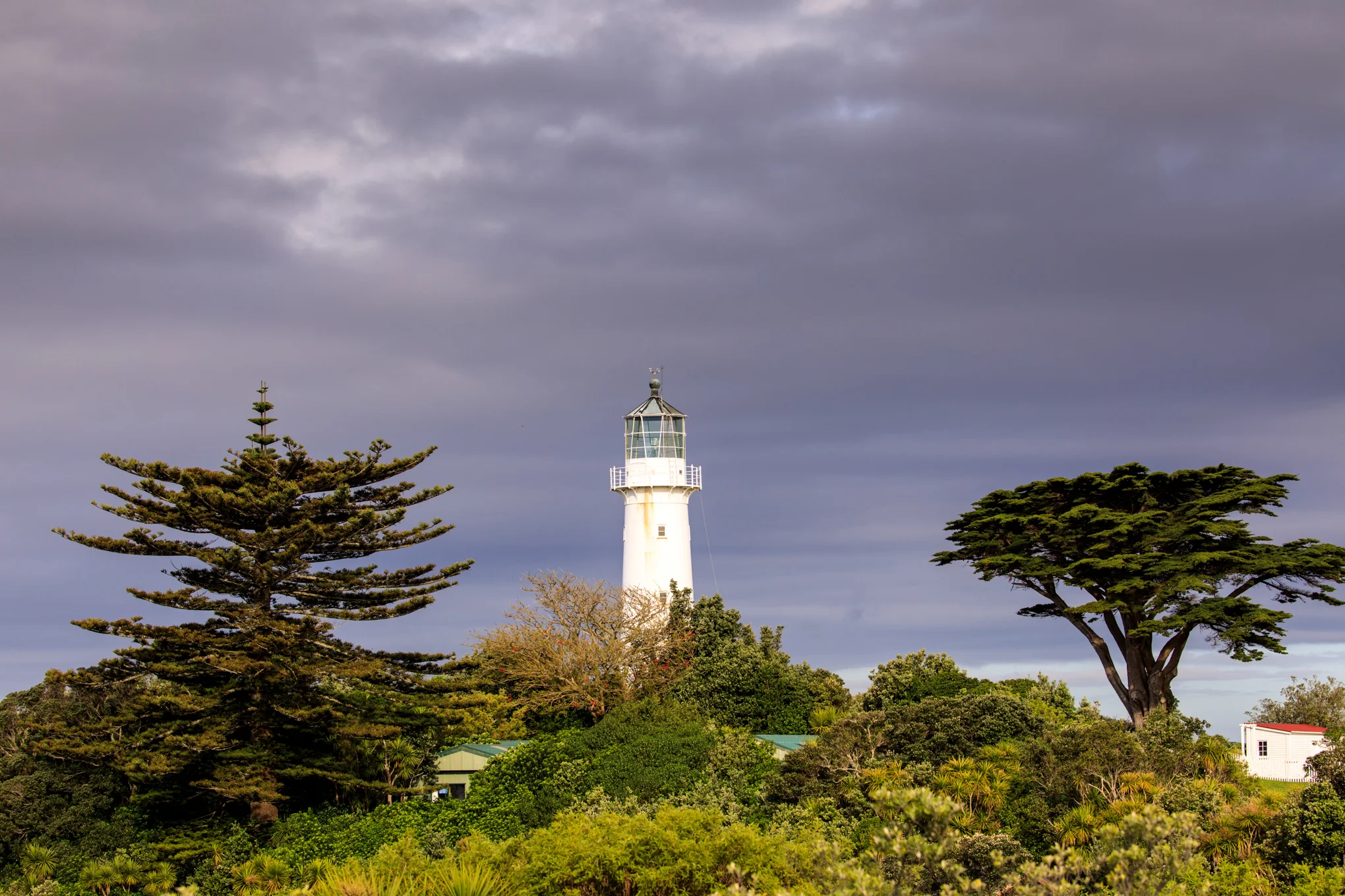 Lighthouse - Tiri Tiri Matangi Island 