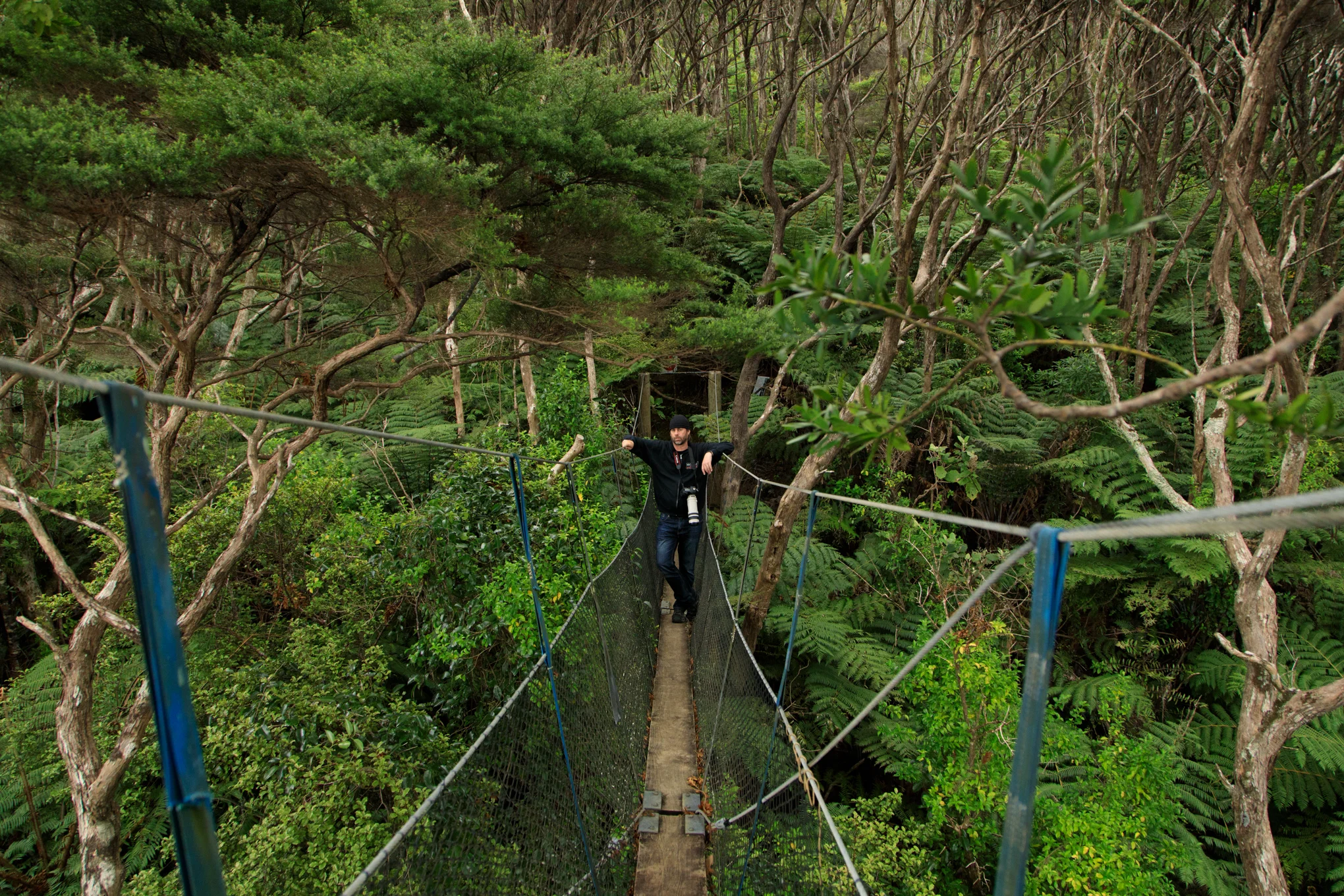 Glenfern Sanctuary 